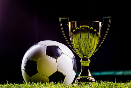 但正因存在 但正因存在